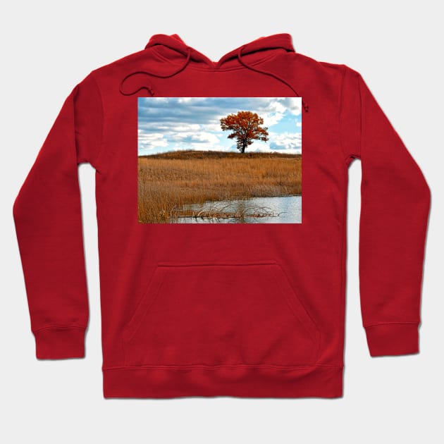 Solitary Tree Hoodie by Colette22